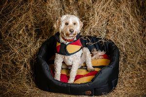 Polarowy płaszcz dla psa Horseware® Newmarket