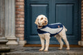Image for Horseware® Newmarket flisinis paltas šuniui