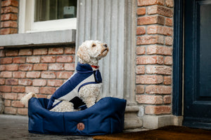 Polarowy płaszcz dla psa Horseware® Newmarket