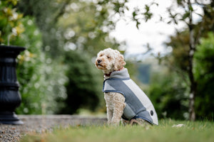 Polarowy płaszcz dla psa Horseware® Newmarket
