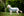 Polarowy płaszcz dla psa Horseware® Newmarket