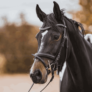 Sprenger – Mors à aiguilles Sprenger Dynamic RS Sensogan 145 16 mm  | Sellerie Bucéphale