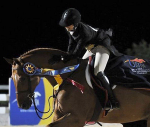 Dopuri de urechi Fenwick LT