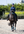 Woof Wear – Guêtres Club Woof Wear Ocean 4 | Sellerie Bucéphale