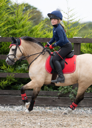 Woof Wear – Guêtres Club Woof Wear Royal Red 3 | Sellerie Bucéphale