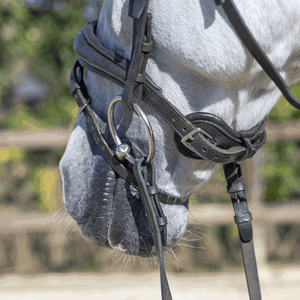 Hoofdstel 2 ringen Sprenger Dynamic RS Sensogan