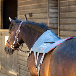 Tappetino da massaggio Equilibrium Heatsense