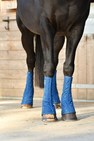 Woof Wear – Guêtres d'écurie Equi-Chaps Stable Equilibrium Navy 4 | Sellerie Bucéphale