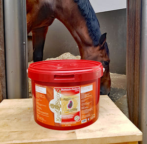 Kevin Bacon's – KEVIN BACON’S Stomach-Protek    | Sellerie Bucéphale