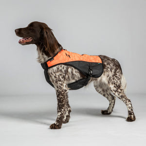 TRAKK Protege-poitrine pour chien Back on Track - porte