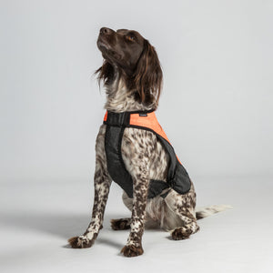 TRAKK Protege-poitrine pour chien Back on Track - vue arriere