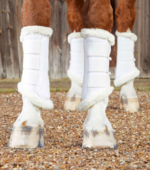 Woof Wear – Guêtres Techno Wool Premier Equine White 2 | Sellerie Bucéphale