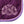 Blason Unicorn Academy brode et cordon sur le tapis violet