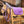 Cheval de bois equipe du tapis et du licol Unicorn Academy, vue rapprochee
