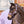 Licol Unicorn Academy lilas porte par un poney avec le couvre-reins assorti