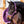Licol Unicorn Academy violet porte par un poney