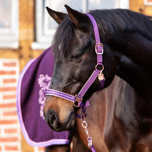 Licol Unicorn Academy violet porte par un poney