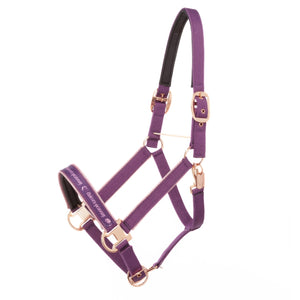 Licol Unicorn Academy violet a boucleries or rose, vue complete