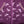 Poches imprimees licornes et passepoil pailliete du blouson violet
