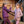 Gilets Unicorn Academy violet et lilas portes a l ecurie