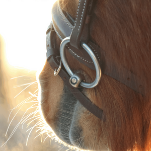 Sprenger KK Ultra Sensogan hoofdstel bitje