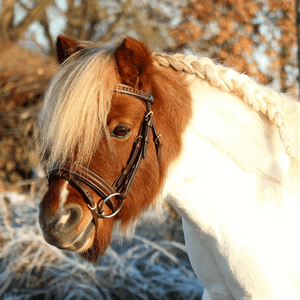Sprenger KK Ultra Sensogan hoofdstel bitje