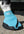 Medical Hoof Boot Woof Wear sur cheval | Sellerie Bucéphale 