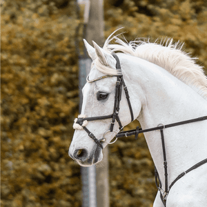 Sprenger NOVOcontact doppelt gebrochenes Trensengebiss