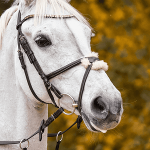 Sprenger NOVOcontact doppelt gebrochenes Trensengebiss