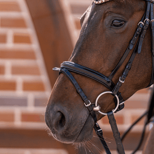 Hoofdstel 2 ringen Sprenger Dynamic RS Sensogan