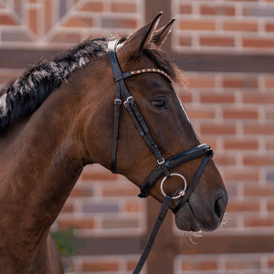 Sprenger NOVOcontact doppelt gebrochenes Trensengebiss