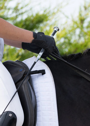 Cravache de dressage Harmony Resolute Woof Wear