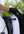 Woof Wear – Cravache de dressage Reptile Woof Wear Black / Silver 2 | Sellerie Bucéphale