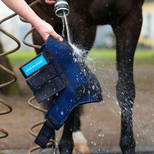 Stabilis csizmák Cool On Track Back On Track