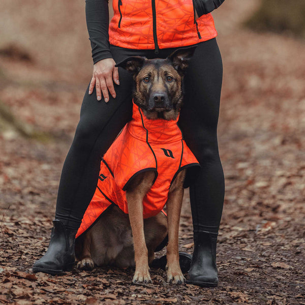 Cappotto per cani “Eddie” Alta visibilità Back on Track