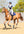 Woof Wear – Tapis de selle Close Contact mouton Woof Wear Navy 3 | Sellerie Bucéphale