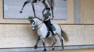 Le Mieux – Tapis de Dressage Carbon Mesh Sage | Sellerie Bucéphale