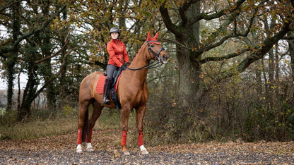 Tapis LeMieux Loire Dressage Sienna sur cheval alezan| Sellerie Bucéphale