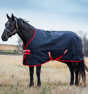 Couverture d’Extérieur Rambo® Original 200g Horseware