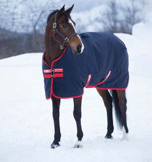 Couverture d’Extérieur Rambo® Original 200g Horseware