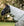 Ensemble Couverture d’Extérieur Rambo® Duo Plus Horseware