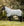 Ensemble Couverture d’Extérieur Rambo® Duo Plus Horseware