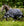 Couverture d’Extérieur Rambo® Optimo 0g Horseware