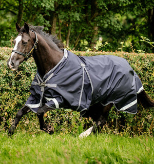 Couverture d’Extérieur Rambo® Optimo 0g Horseware