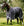 Couverture d’Extérieur Rambo® Optimo 0g Horseware