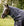 Ensemble Couverture d’Extérieur Rambo® Optimo Plus 0g + Doublure 300g Horseware