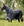 Ensemble Couverture d’Extérieur Rambo® Optimo Plus 0g + Doublure 300g Horseware