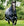 Ensemble Couverture d’Extérieur Rambo® Optimo Plus 0g + Doublure 300g Horseware