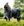 Couverture d’Extérieur Rambo® Optimo Plus 0g Horseware