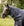 Couvre-cou Rambo® Optimo 150g Horseware